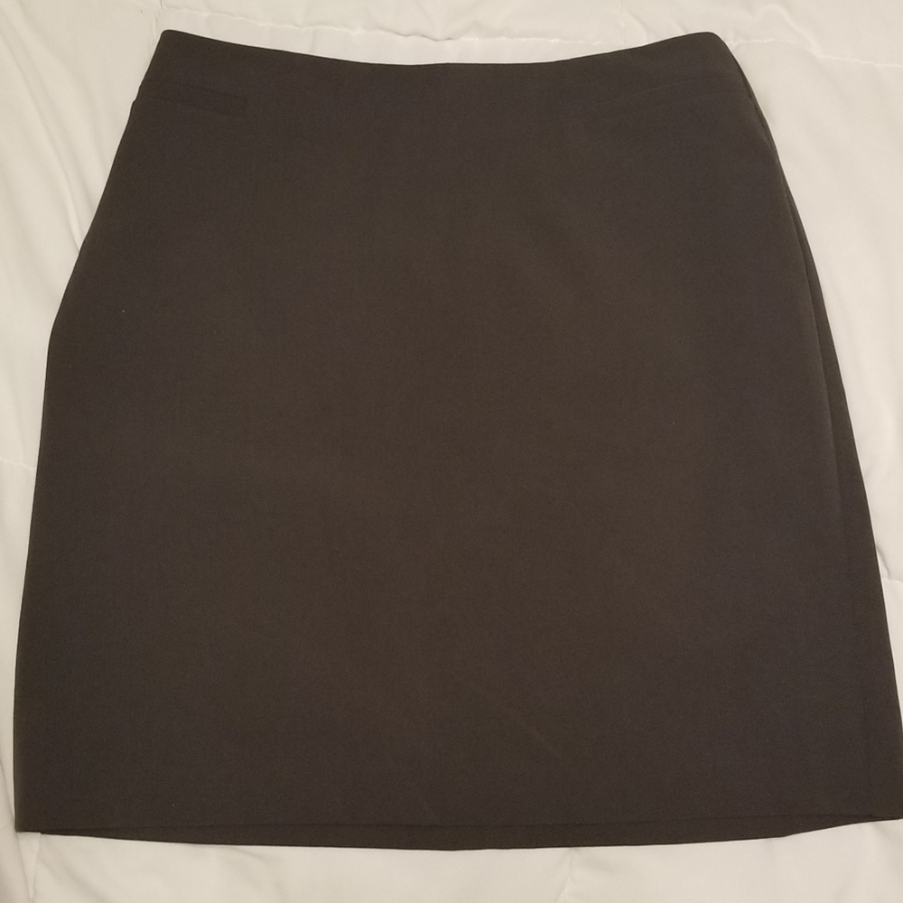 The Limited Skirt